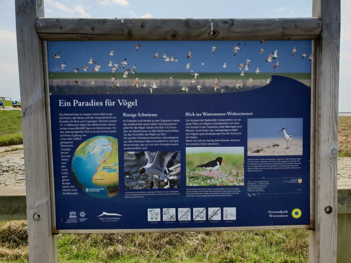 Kleines Haeuschen Am Deich, Vor Den Toren Von Sylt Villa Emmelsbull-Horsbull Bagian luar foto