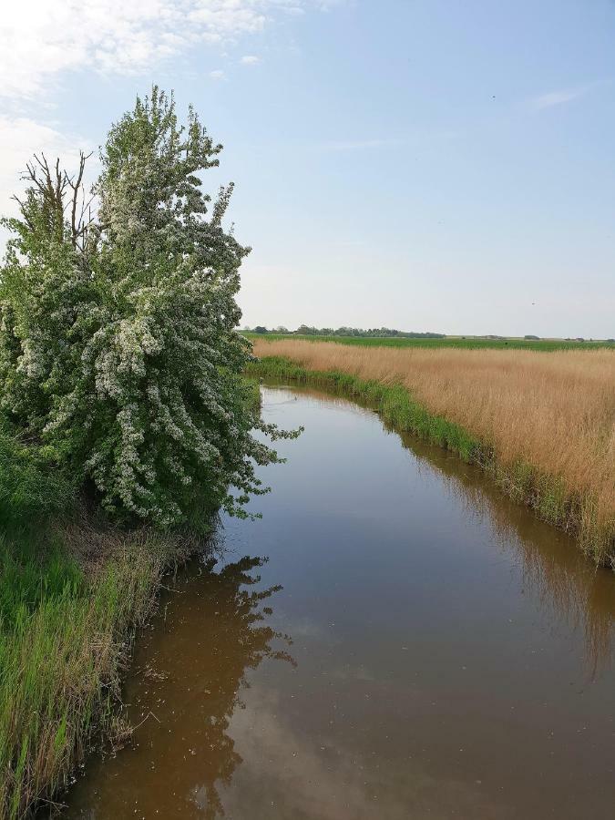 Kleines Haeuschen Am Deich, Vor Den Toren Von Sylt Villa Emmelsbull-Horsbull Bagian luar foto
